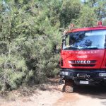 Πυρκαγιά Νέα Πέτρα Σερρών: Τι συμβαίνει τώρα;