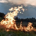 Πυρκαγιά Σίβηρη: Το πραγματικό μέγεθος της οικολογικής καταστροφής