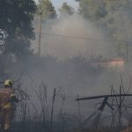 Χαλκιδική: Ελεύθεροι οι εργολάβοι ΔΕΔΔΗΕ για τη φωτιά; Τι κρίθηκε;