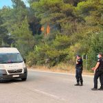 Φωτιά Παλαιοχώρι Χαλκιδικής: Τι συμβαίνει τώρα στην περιοχή;
