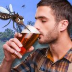Μπύρα & Κουνούπια: Γιατί σας προτιμούν οι τσιμπιές μετά;
