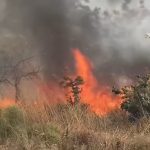 Εμπρησμός Καβάλα: 80χρονος συλληφθείς – Οι λόγοι της πράξης