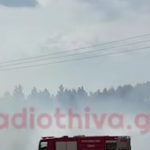 Φωτιά Θήβα: Άμεση εναέρια μάχη! Δείτε το βίντεο.