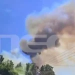 Φωτιά Χαλκιδική: Το βίντεο που αποκαλύπτει τα πρώτα λεπτά